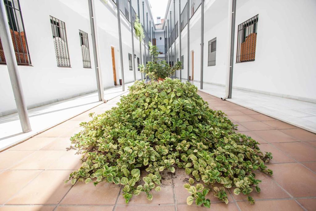 La Casa De Artista, Zona Museo Appartement Sevilla Buitenkant foto